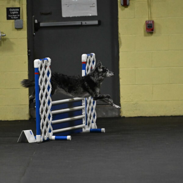 Bruce-Belebczuk-02238