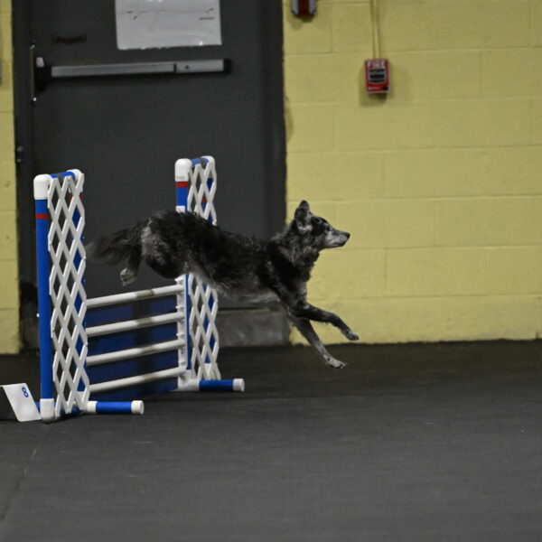 Bruce-Belebczuk-02239