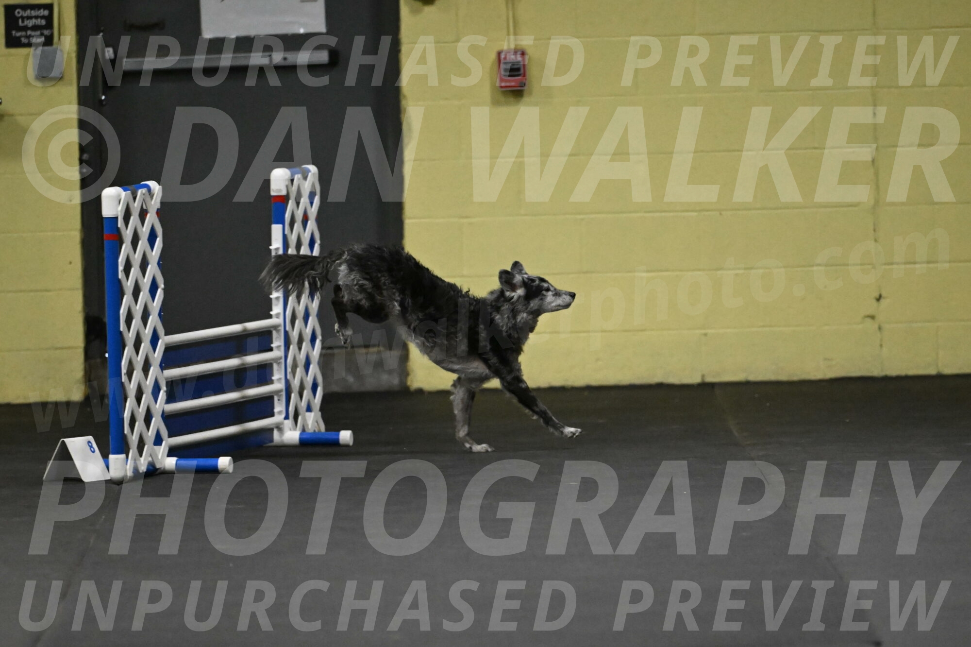 Bruce-Belebczuk-02240