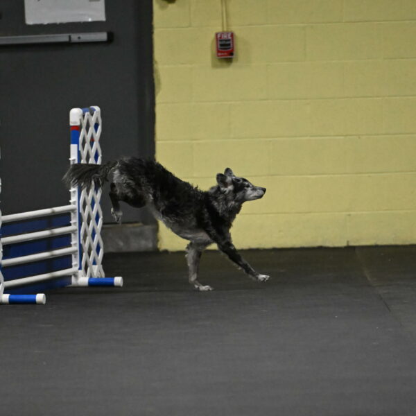 Bruce-Belebczuk-02240