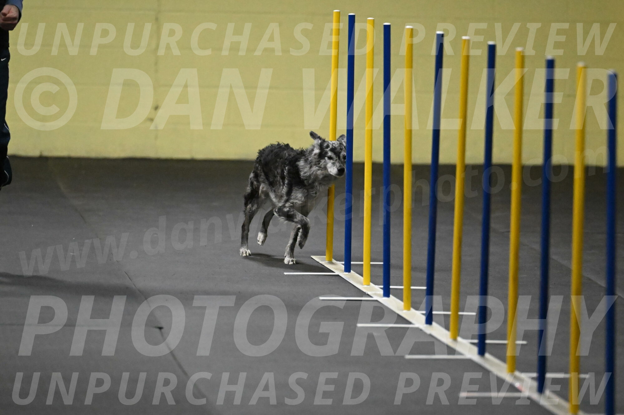 Bruce-Belebczuk-02241