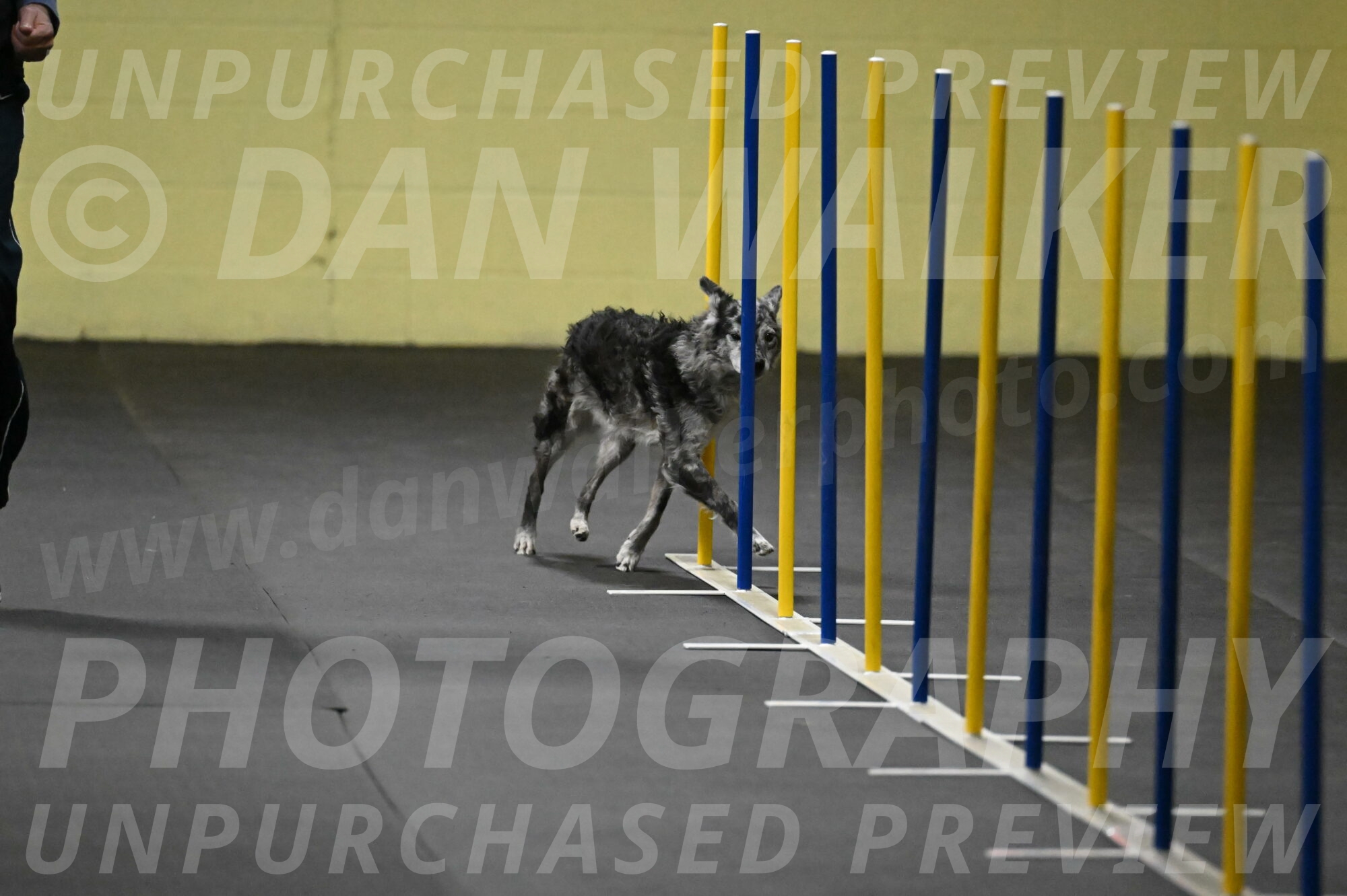 Bruce-Belebczuk-02242