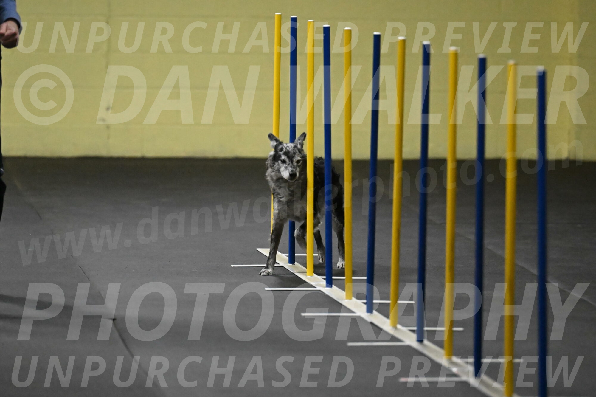 Bruce-Belebczuk-02246