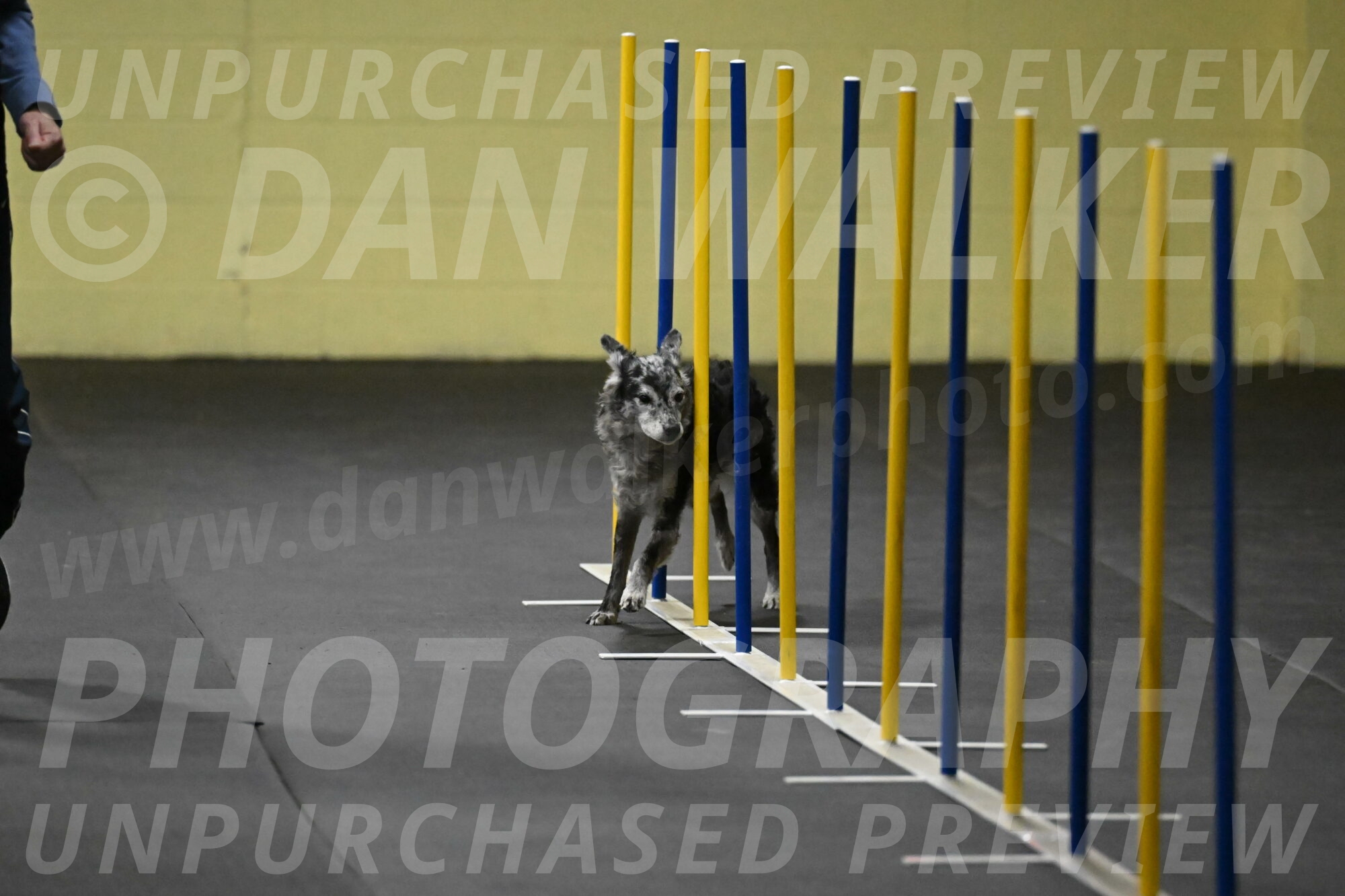 Bruce-Belebczuk-02247