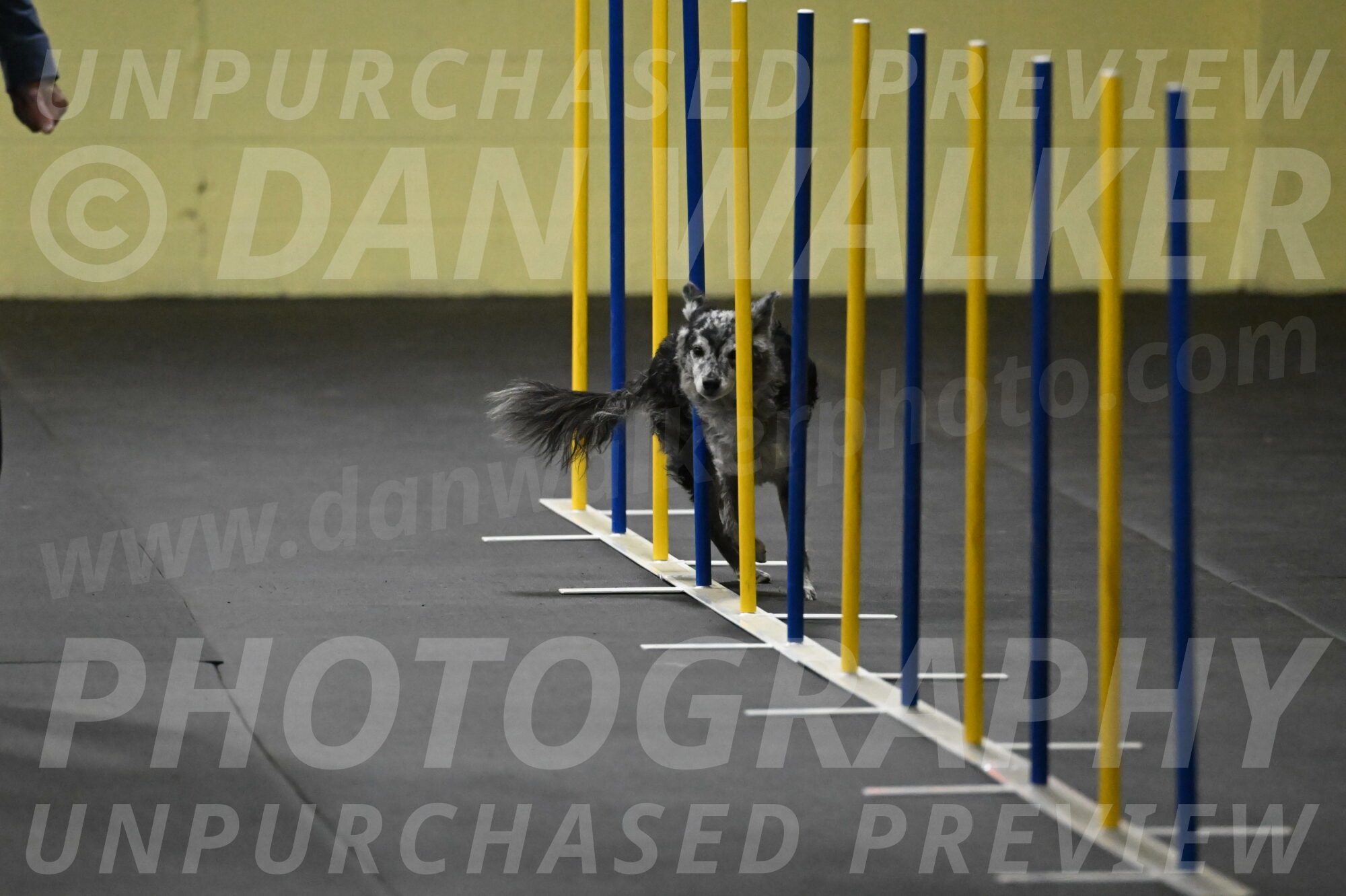 Bruce-Belebczuk-02253