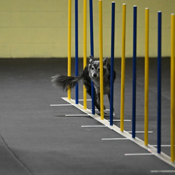 Bruce-Belebczuk-02253