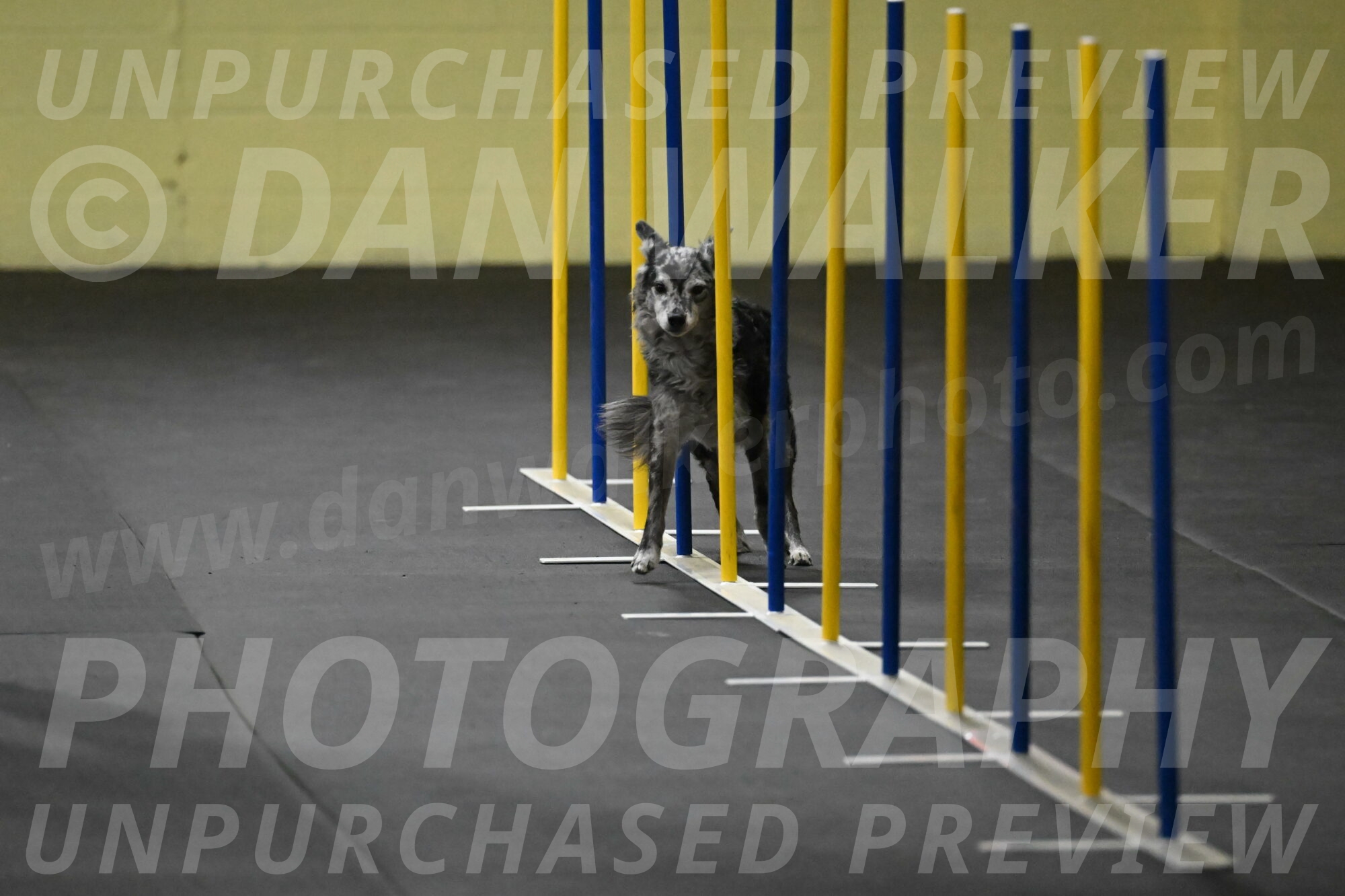 Bruce-Belebczuk-02254