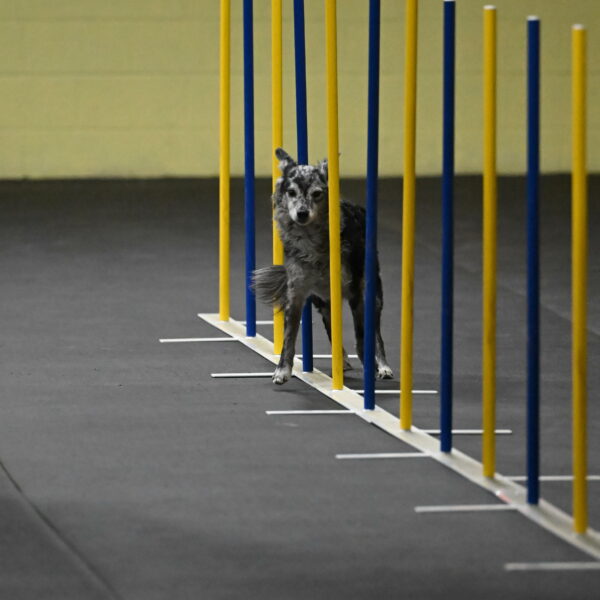 Bruce-Belebczuk-02254