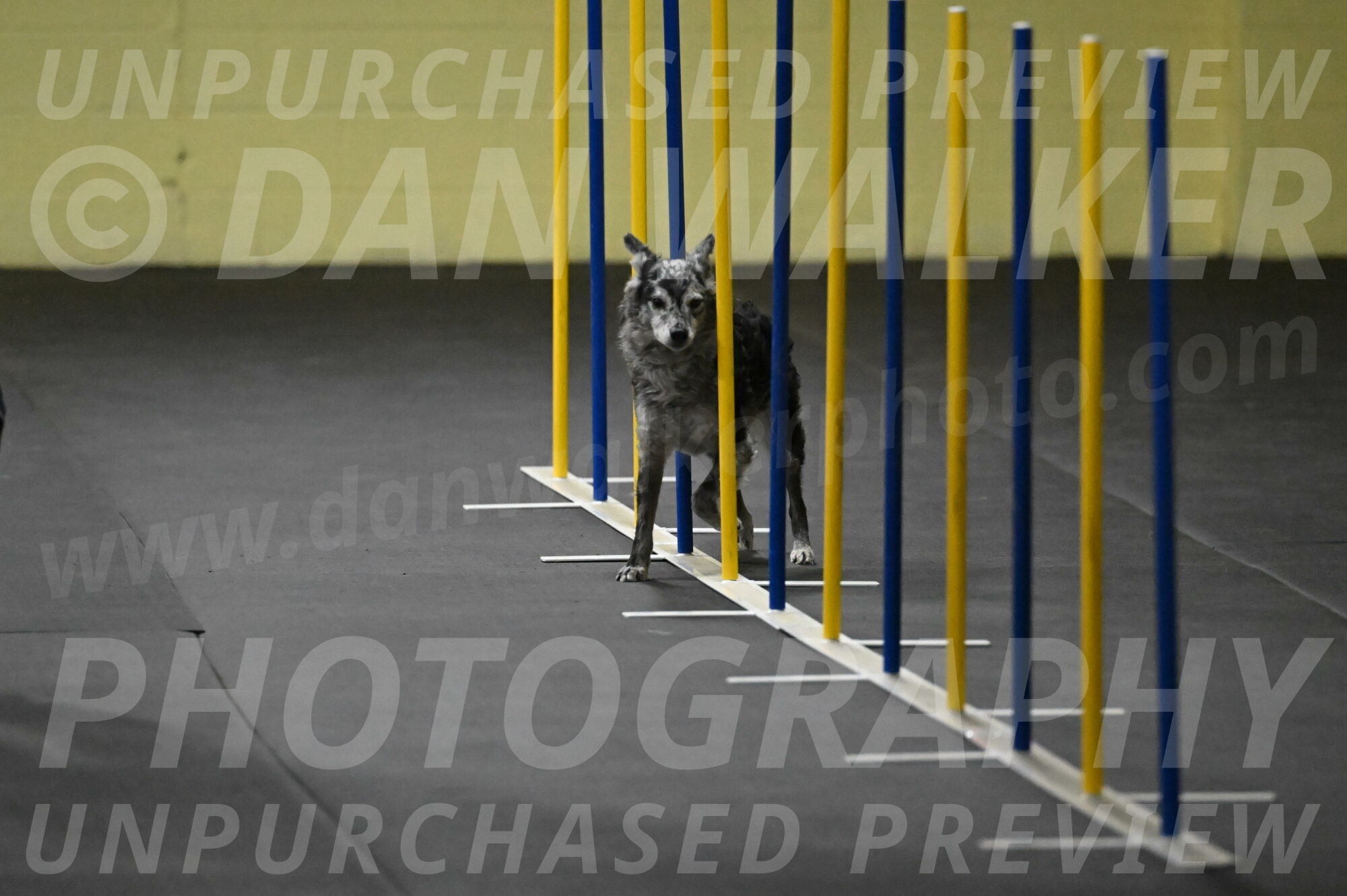 Bruce-Belebczuk-02255