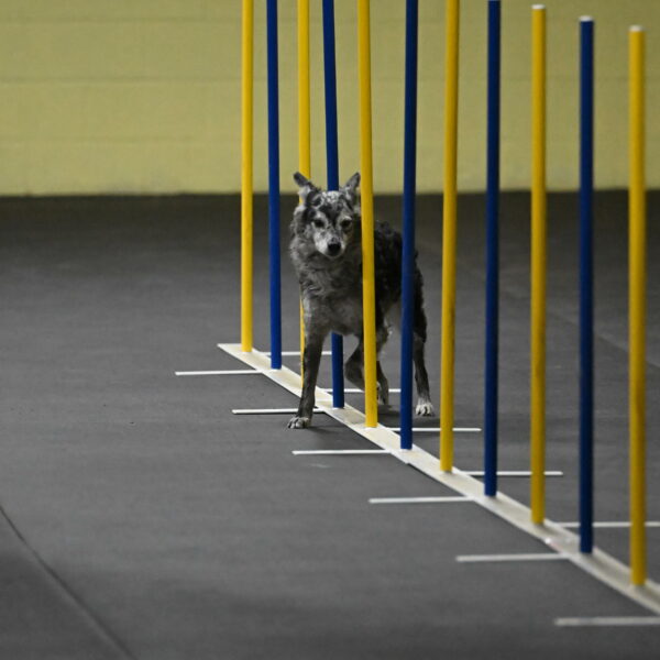 Bruce-Belebczuk-02255