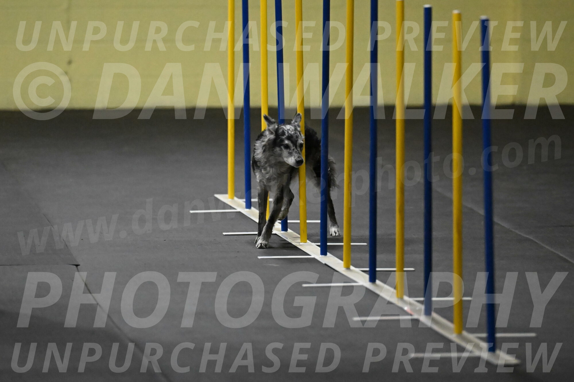 Bruce-Belebczuk-02256