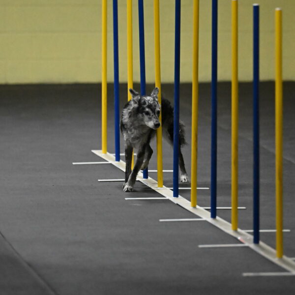 Bruce-Belebczuk-02256