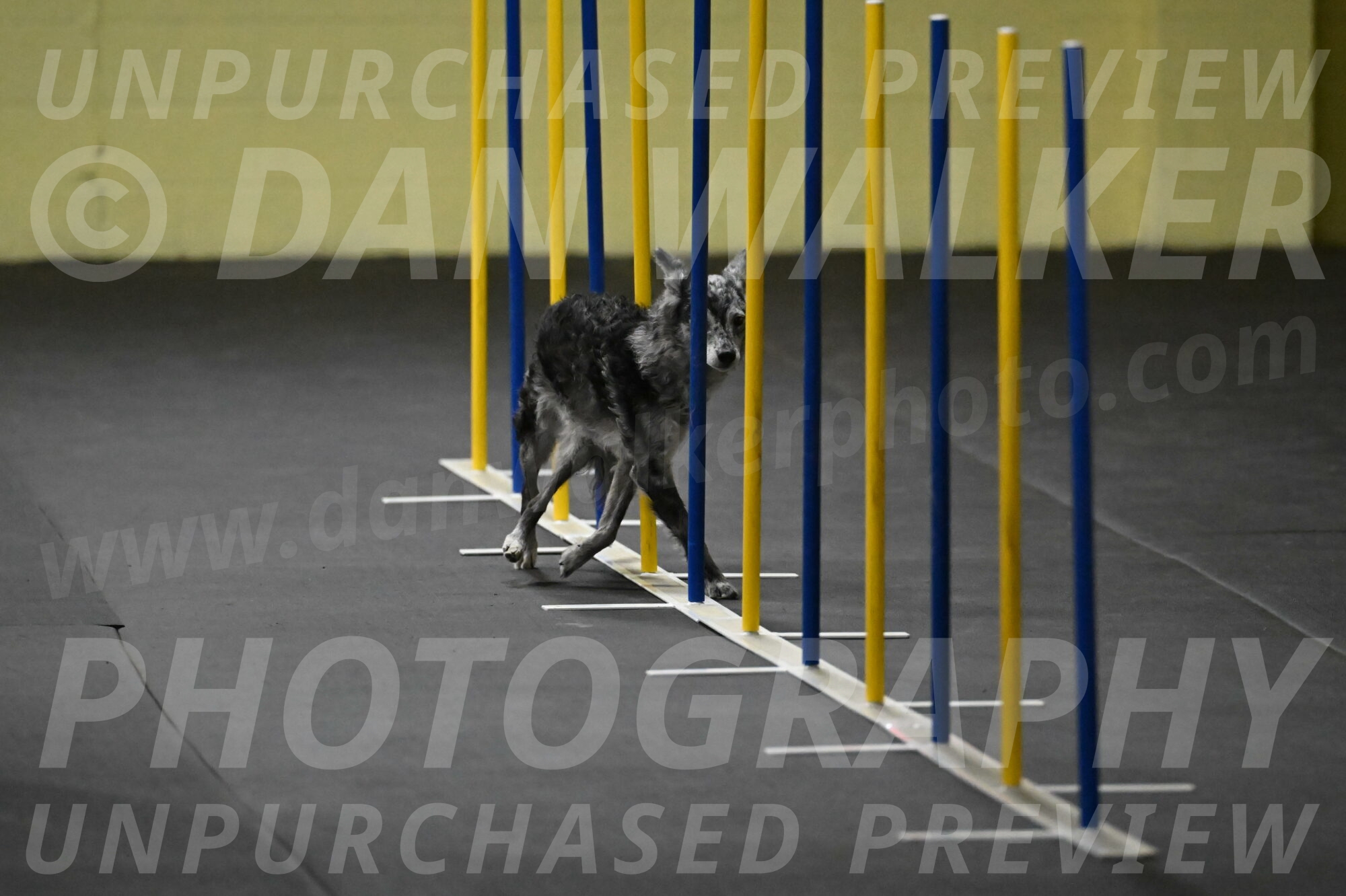 Bruce-Belebczuk-02259