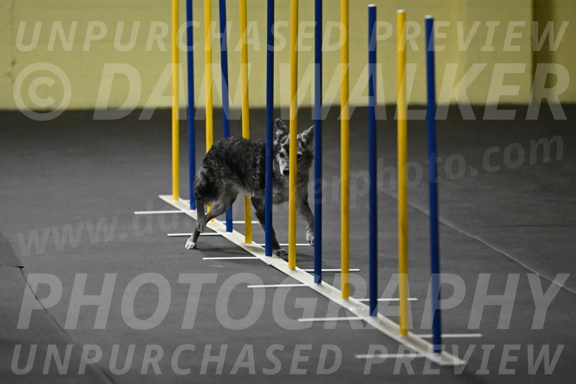 Bruce-Belebczuk-02260