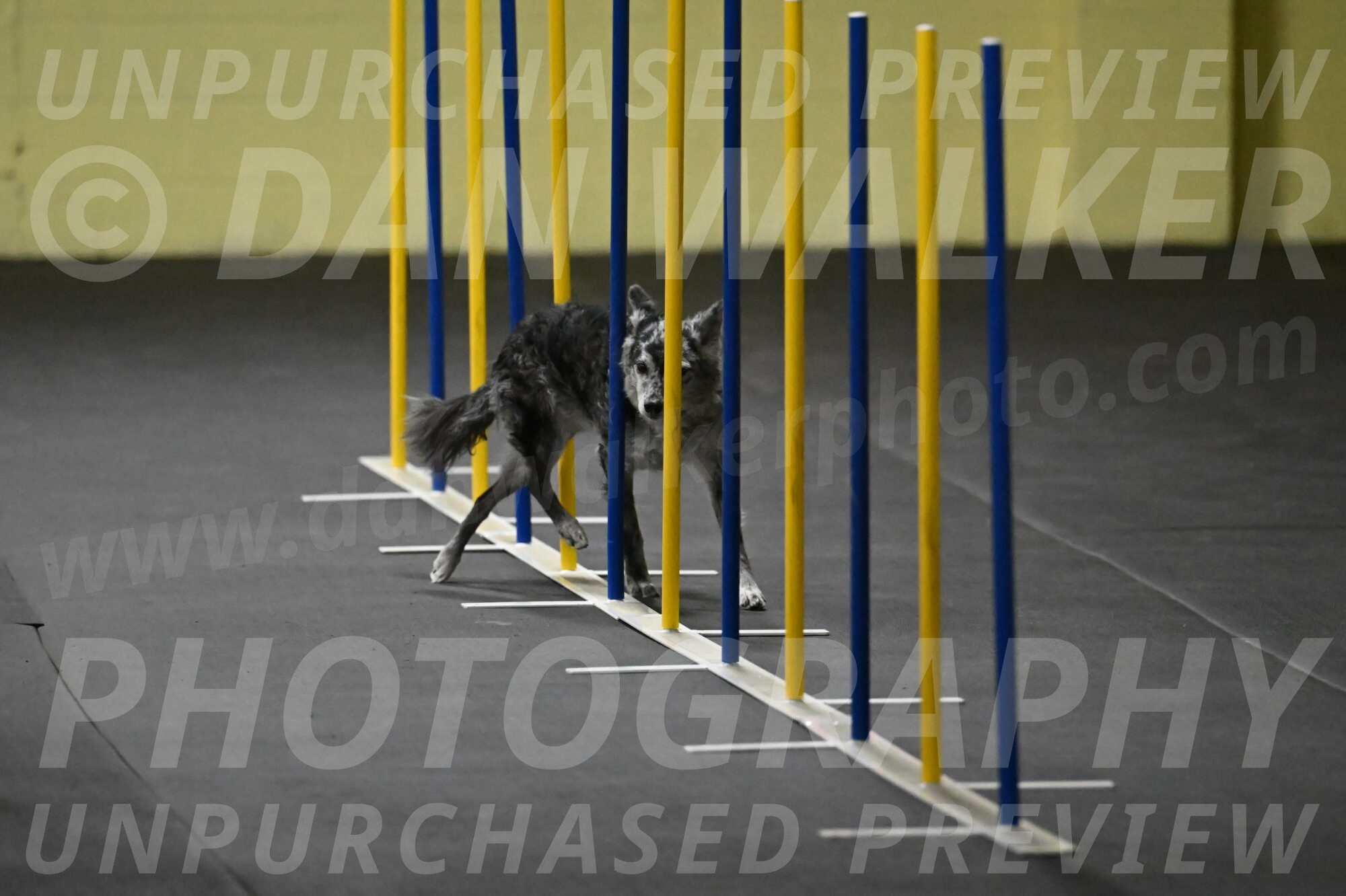 Bruce-Belebczuk-02261