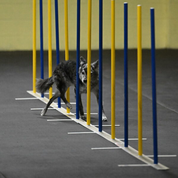 Bruce-Belebczuk-02261