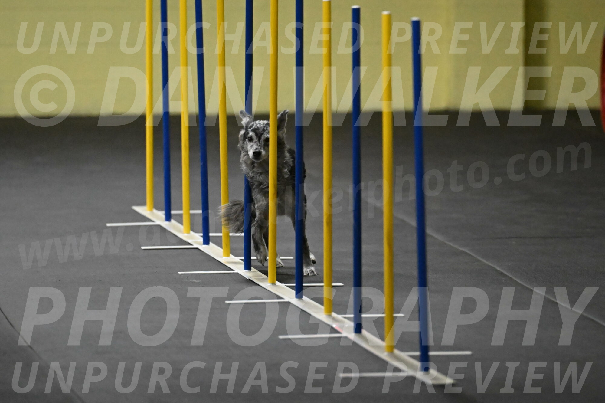 Bruce-Belebczuk-02262