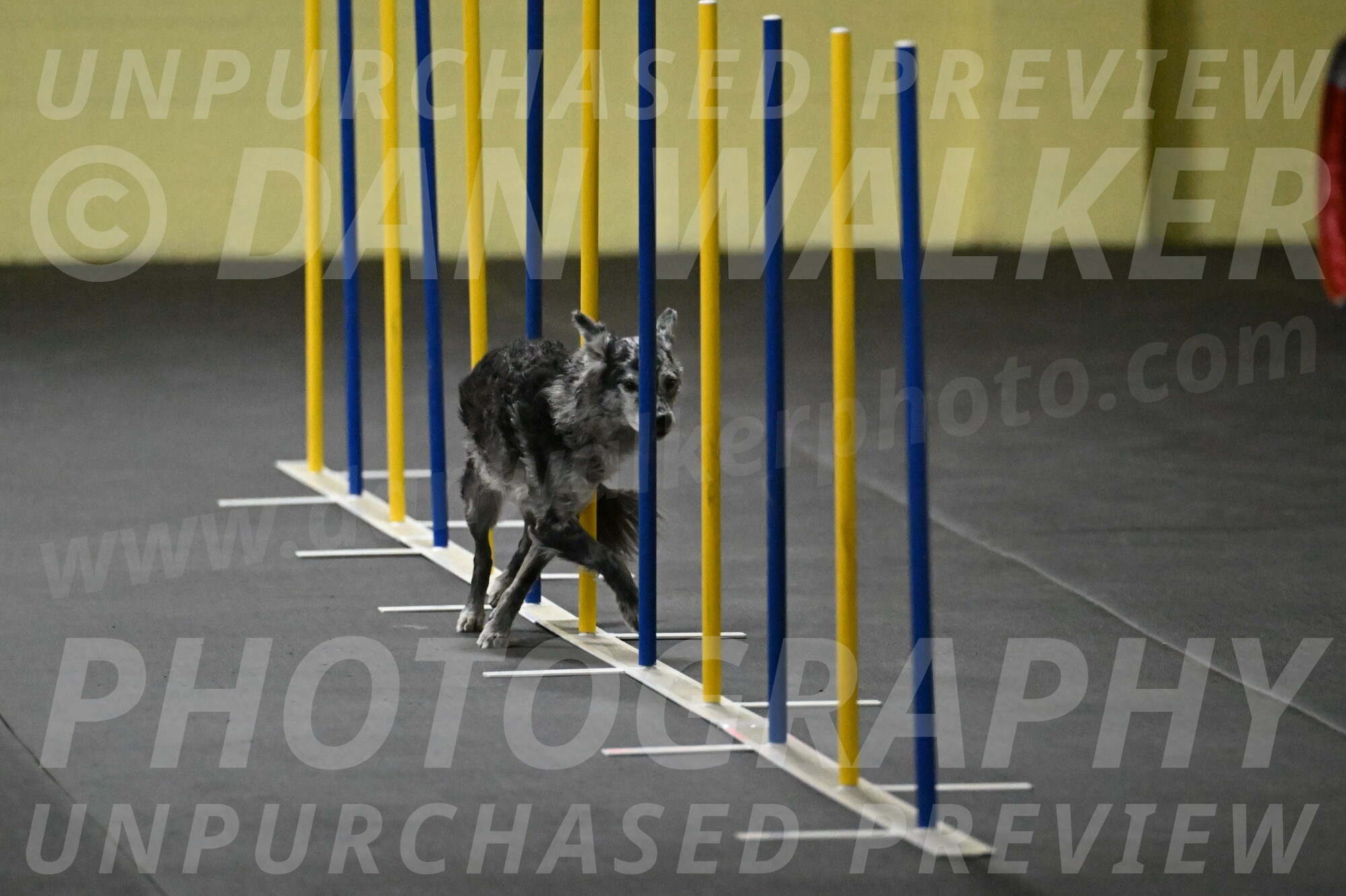 Bruce-Belebczuk-02266