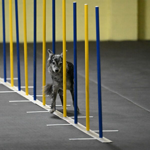 Bruce-Belebczuk-02271