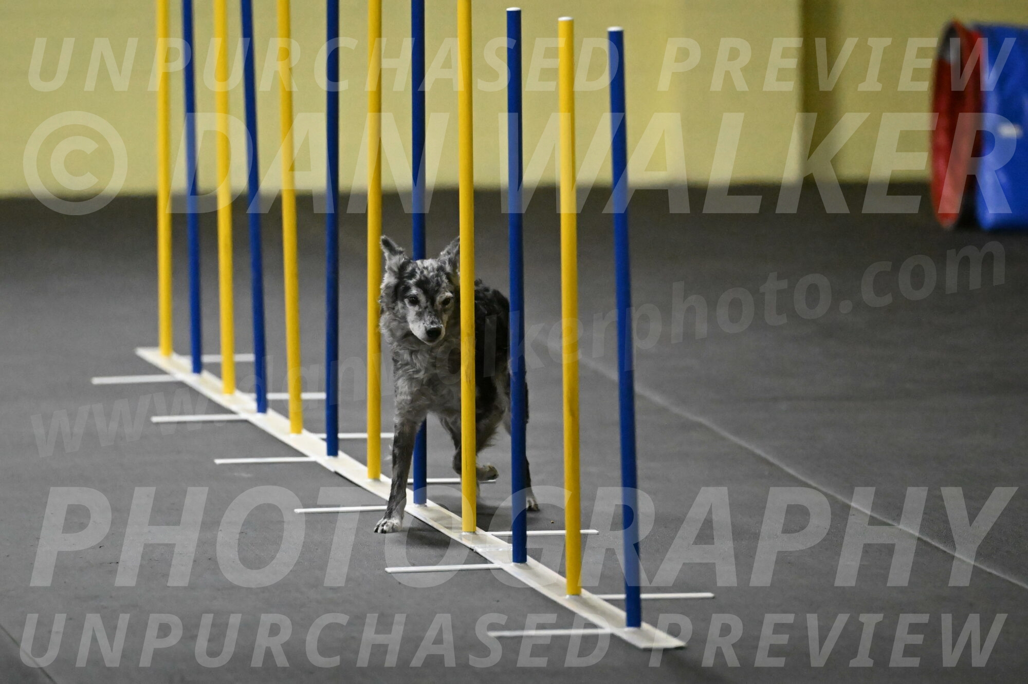 Bruce-Belebczuk-02272