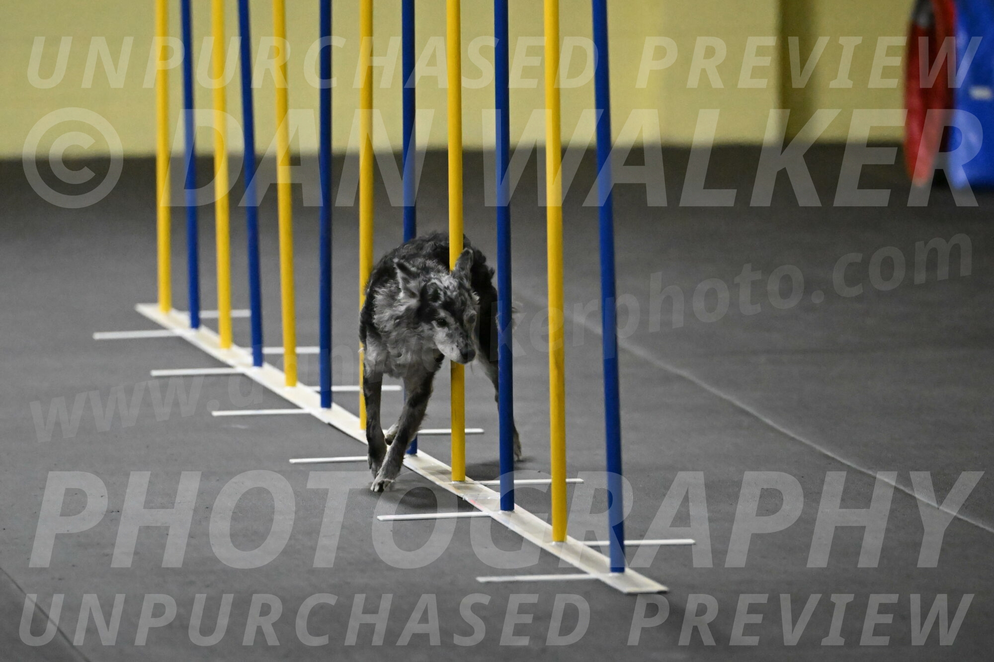 Bruce-Belebczuk-02274