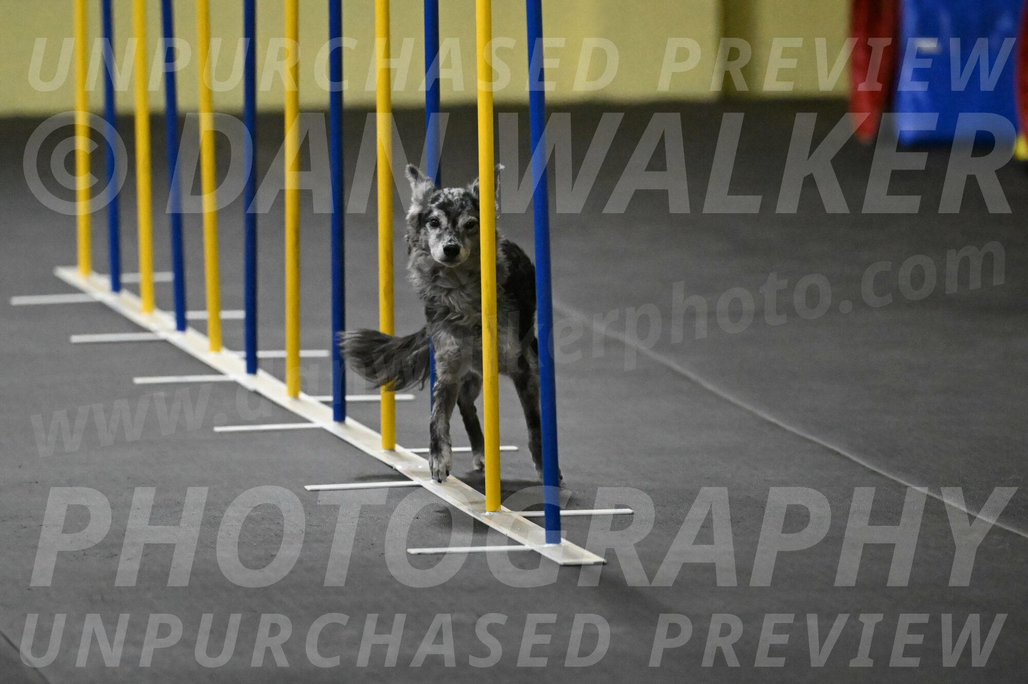 Bruce-Belebczuk-02282