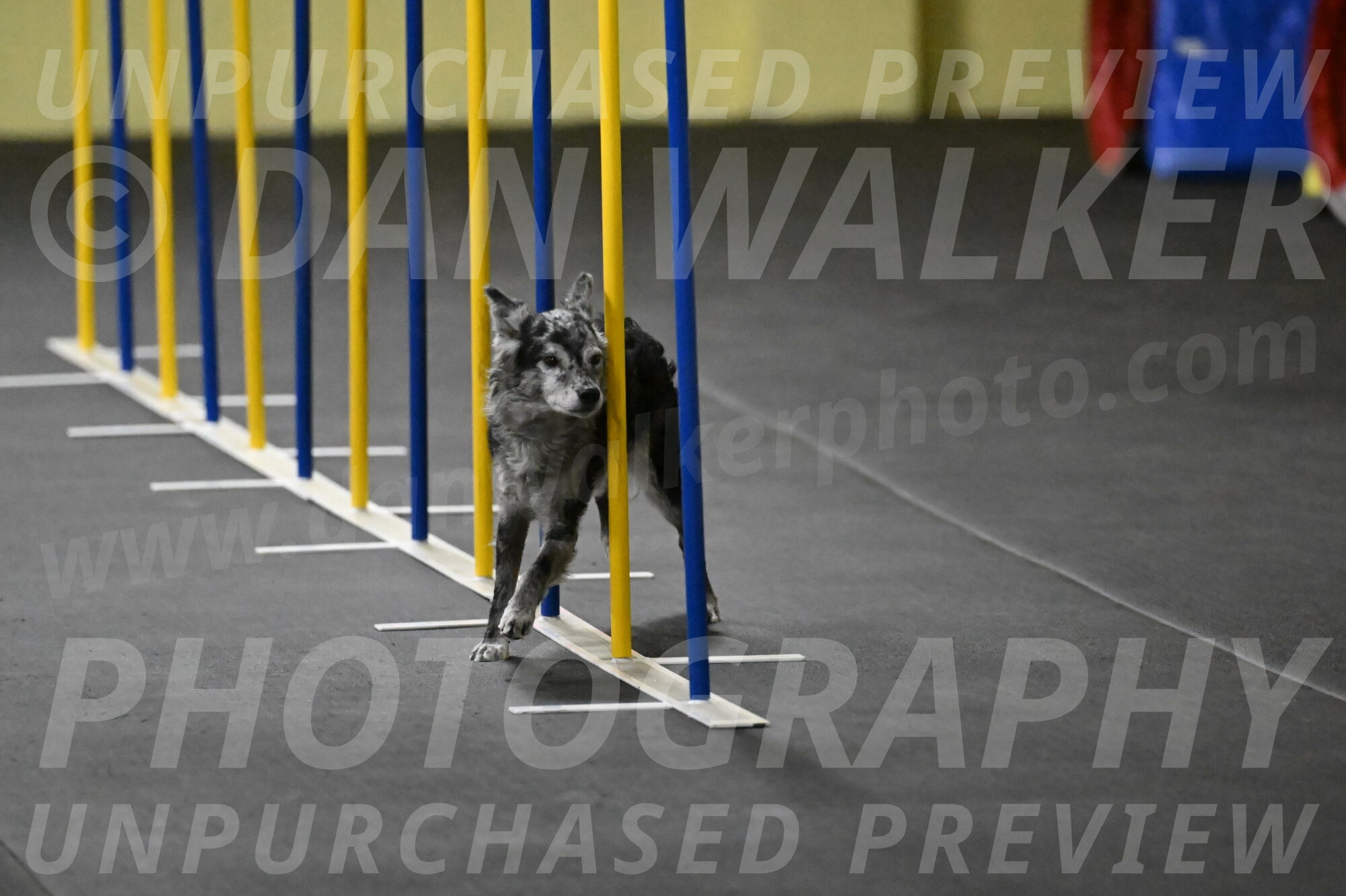 Bruce-Belebczuk-02283