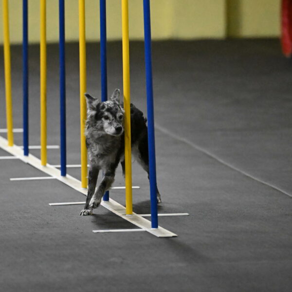 Bruce-Belebczuk-02283