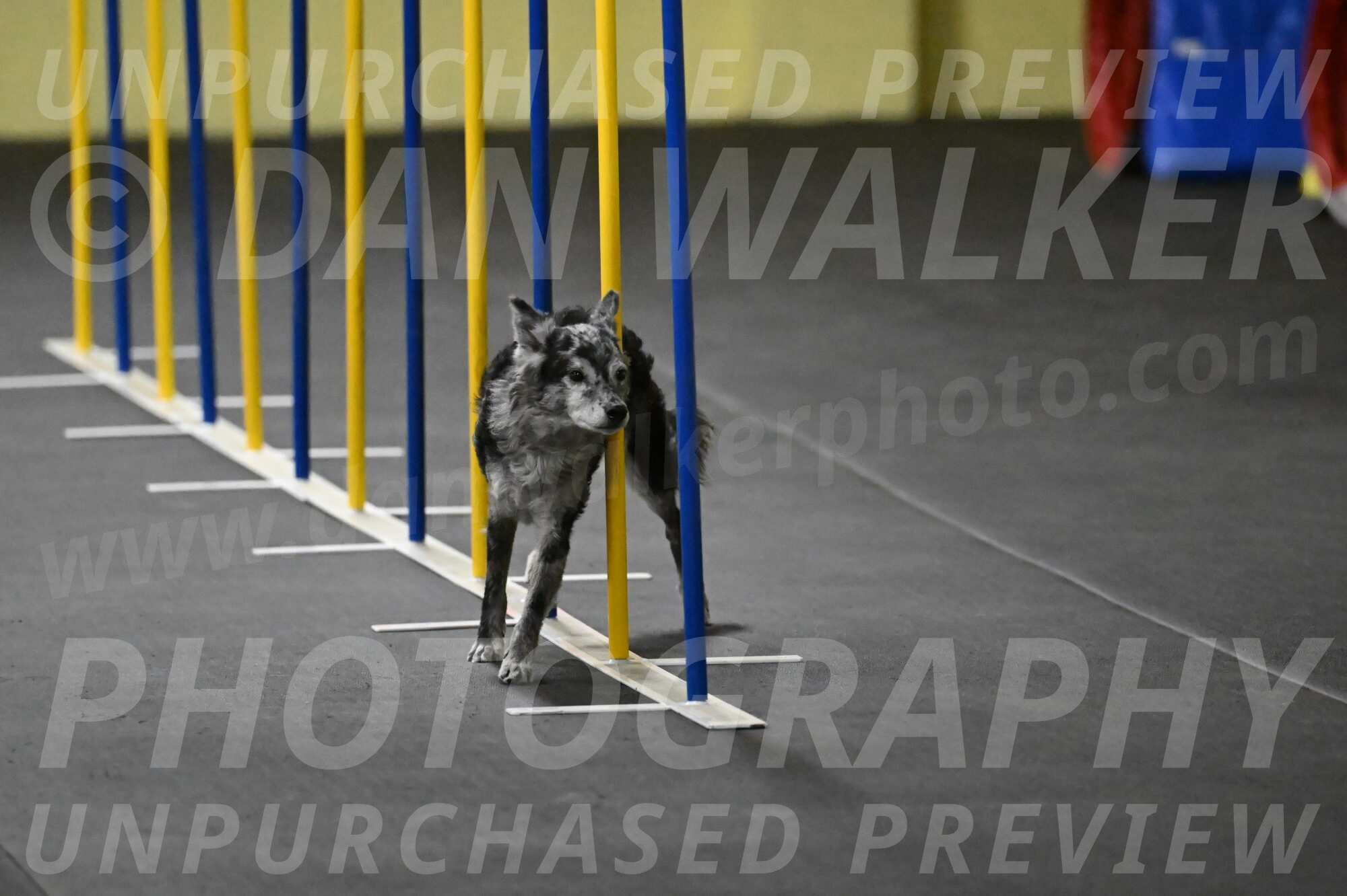 Bruce-Belebczuk-02284