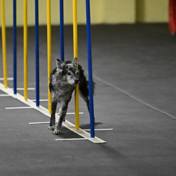 Bruce-Belebczuk-02284