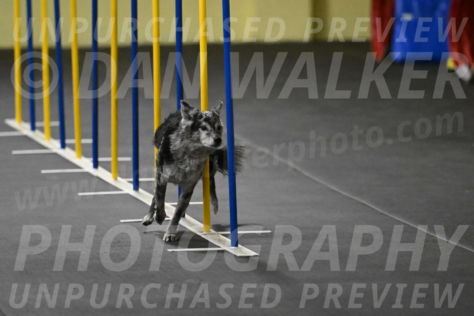 Bruce-Belebczuk-02285