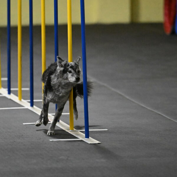 Bruce-Belebczuk-02285