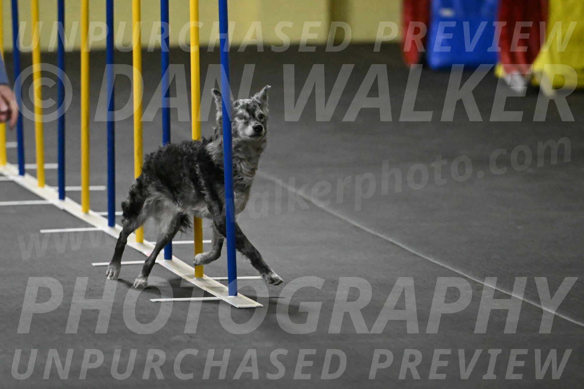 Bruce-Belebczuk-02287