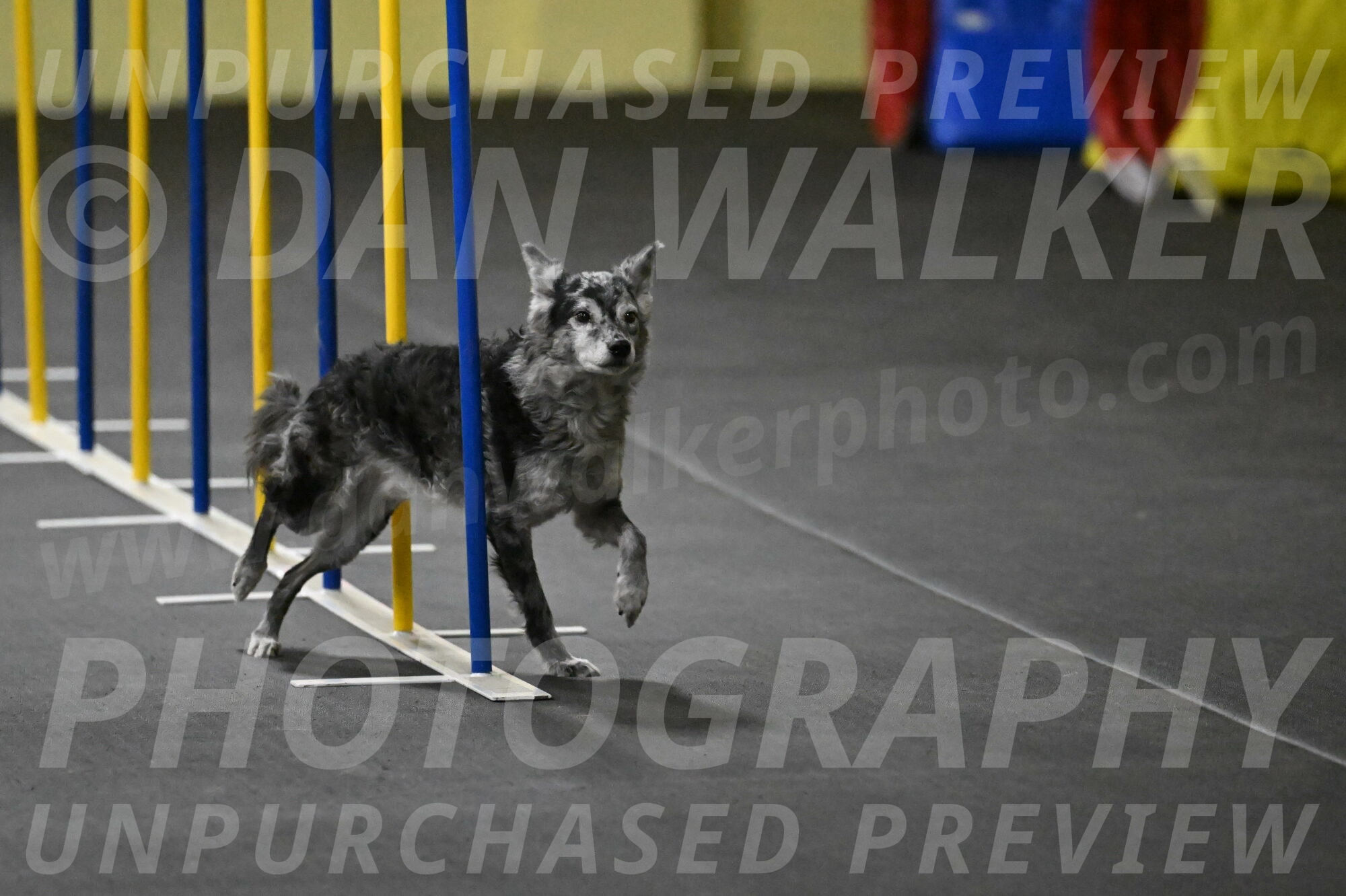 Bruce-Belebczuk-02288