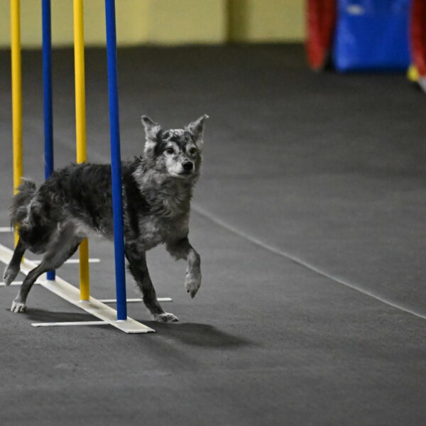 Bruce-Belebczuk-02288