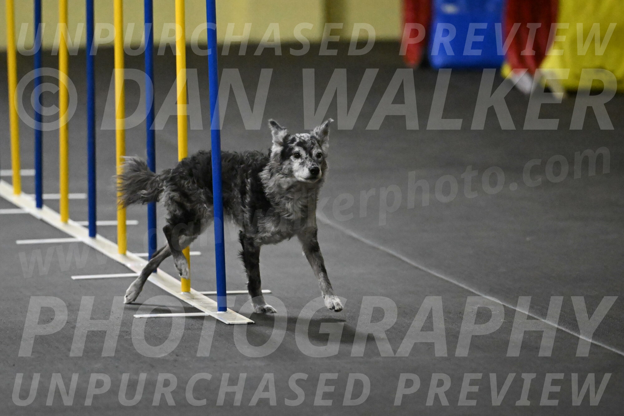 Bruce-Belebczuk-02289