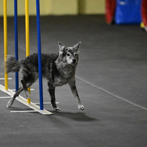 Bruce-Belebczuk-02289