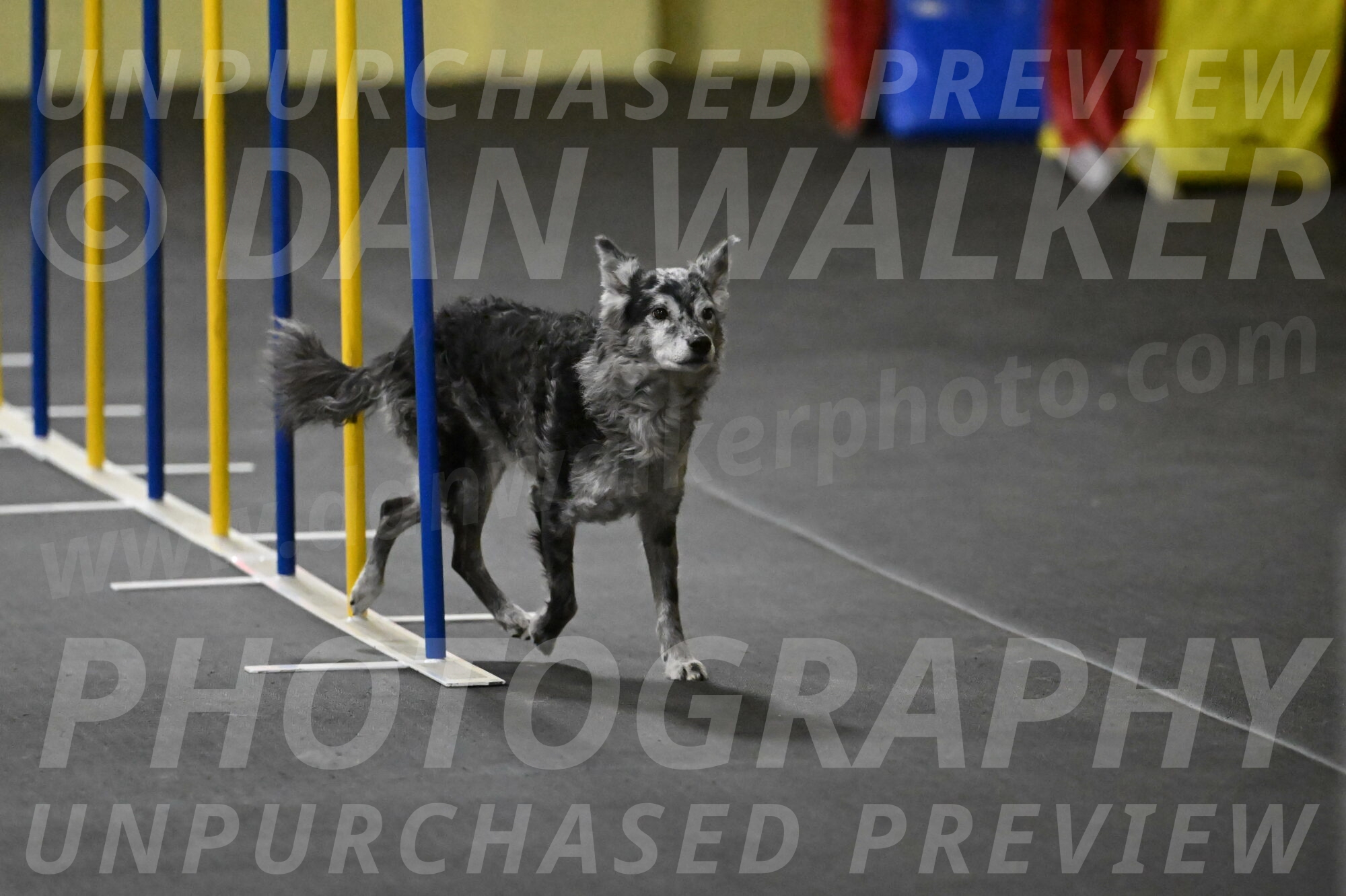 Bruce-Belebczuk-02290