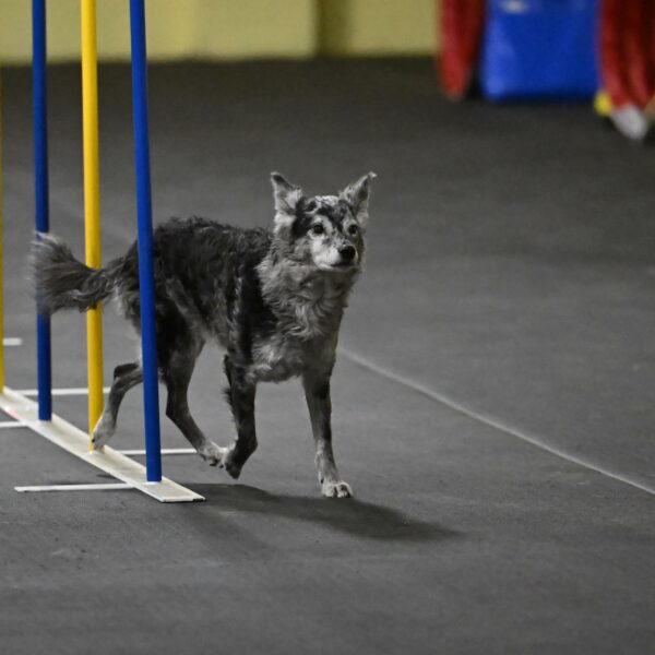 Bruce-Belebczuk-02290