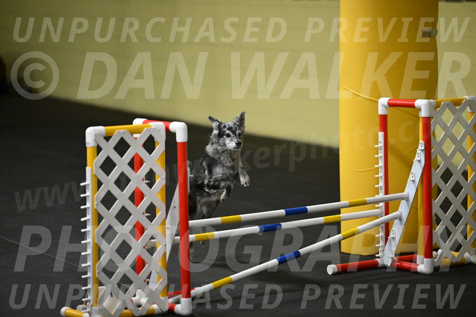 Bruce-Belebczuk-02293