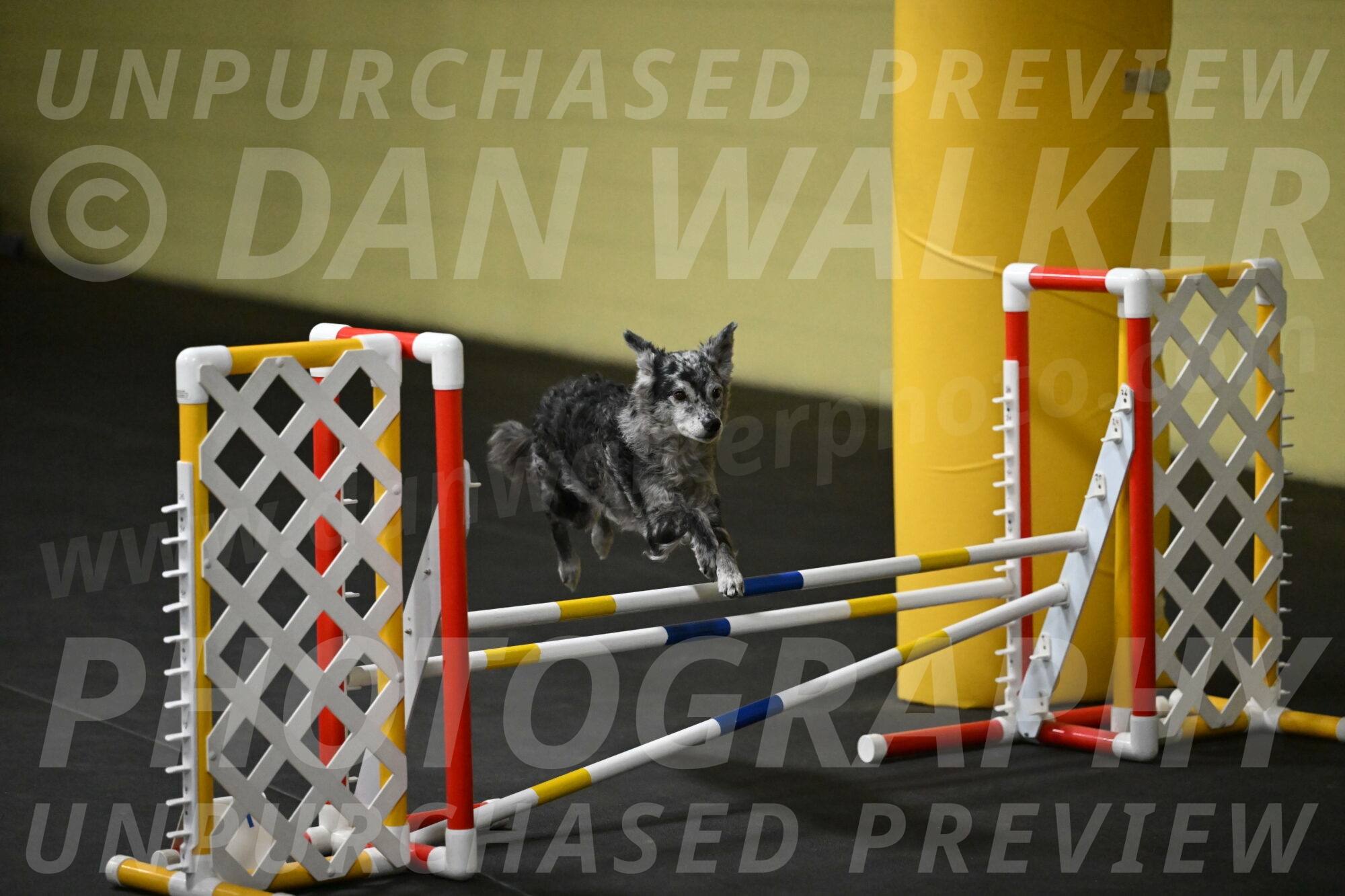 Bruce-Belebczuk-02295