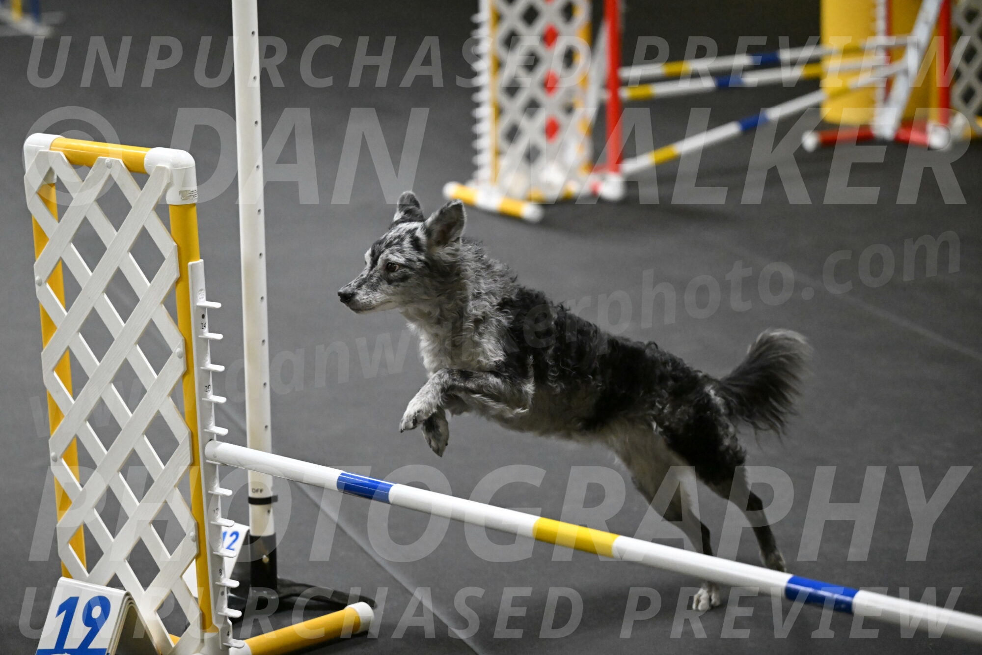 Bruce-Belebczuk-02299