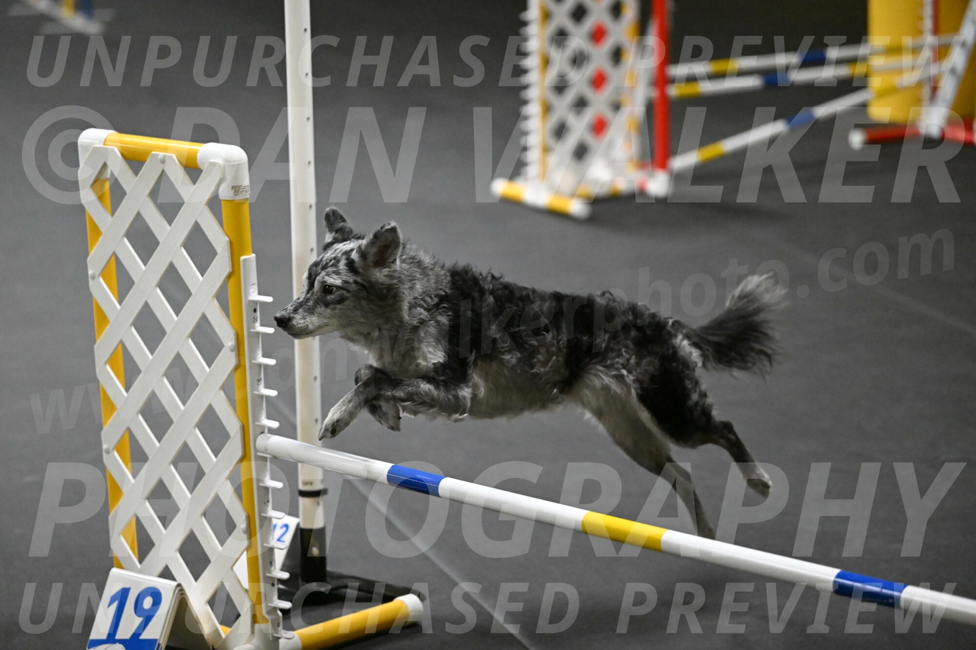 Bruce-Belebczuk-02300