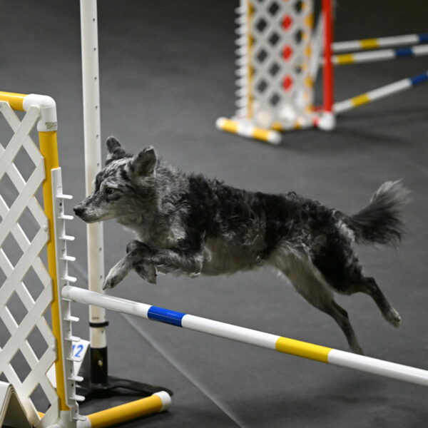 Bruce-Belebczuk-02300