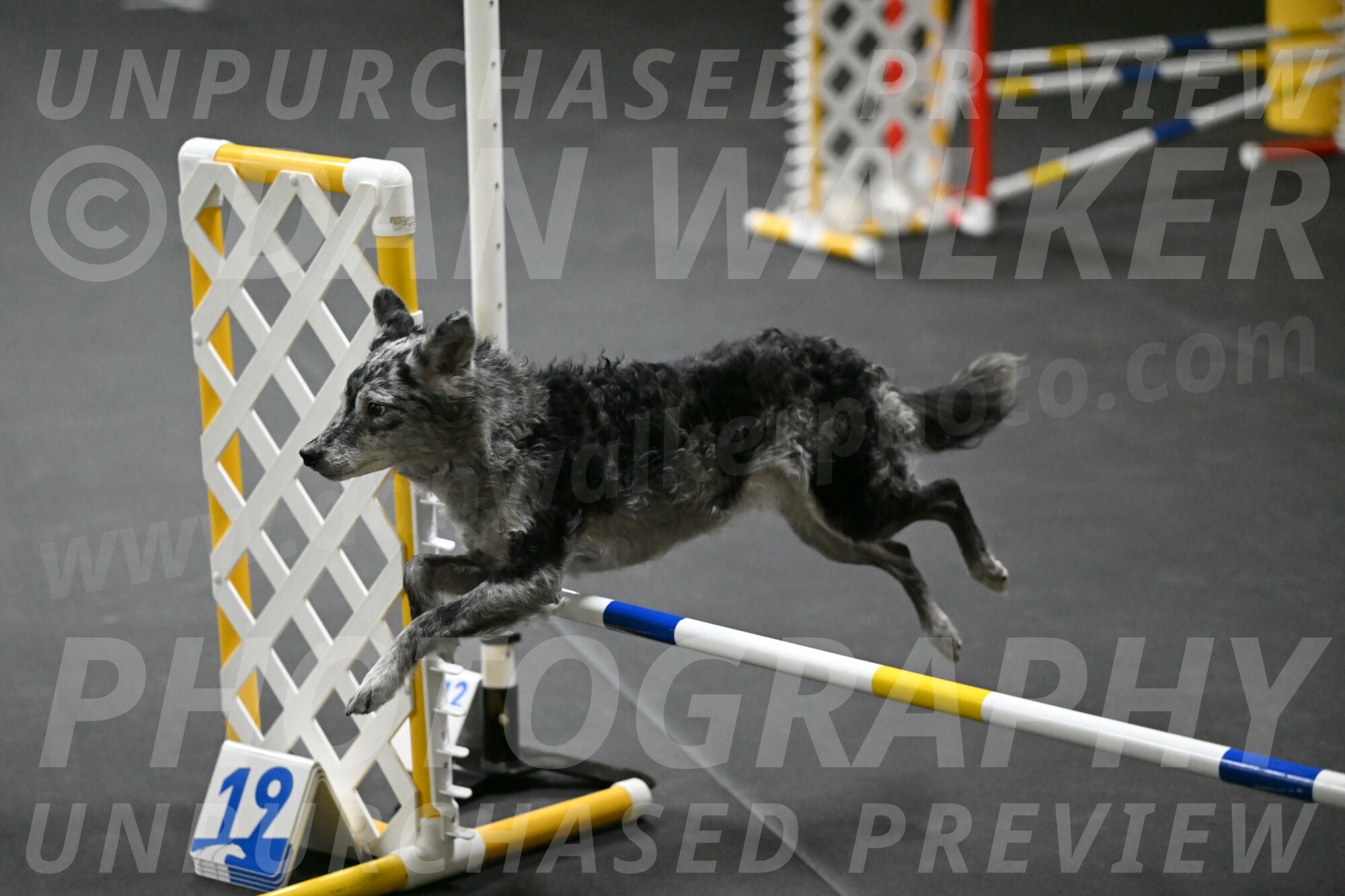 Bruce-Belebczuk-02301