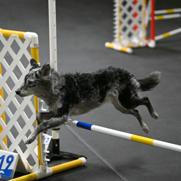 Bruce-Belebczuk-02301