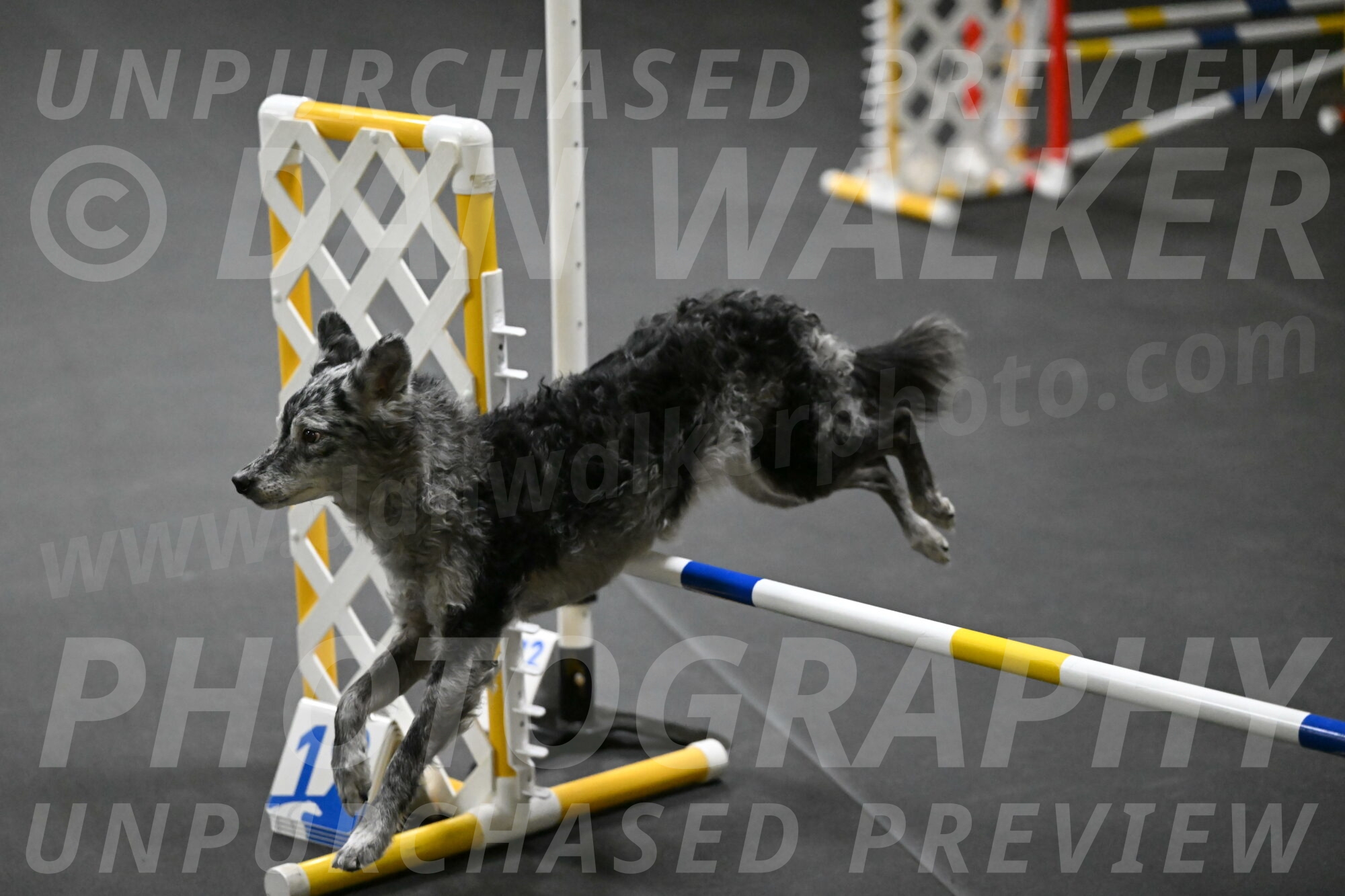 Bruce-Belebczuk-02302