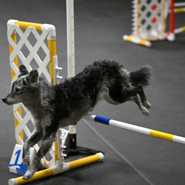 Bruce-Belebczuk-02302