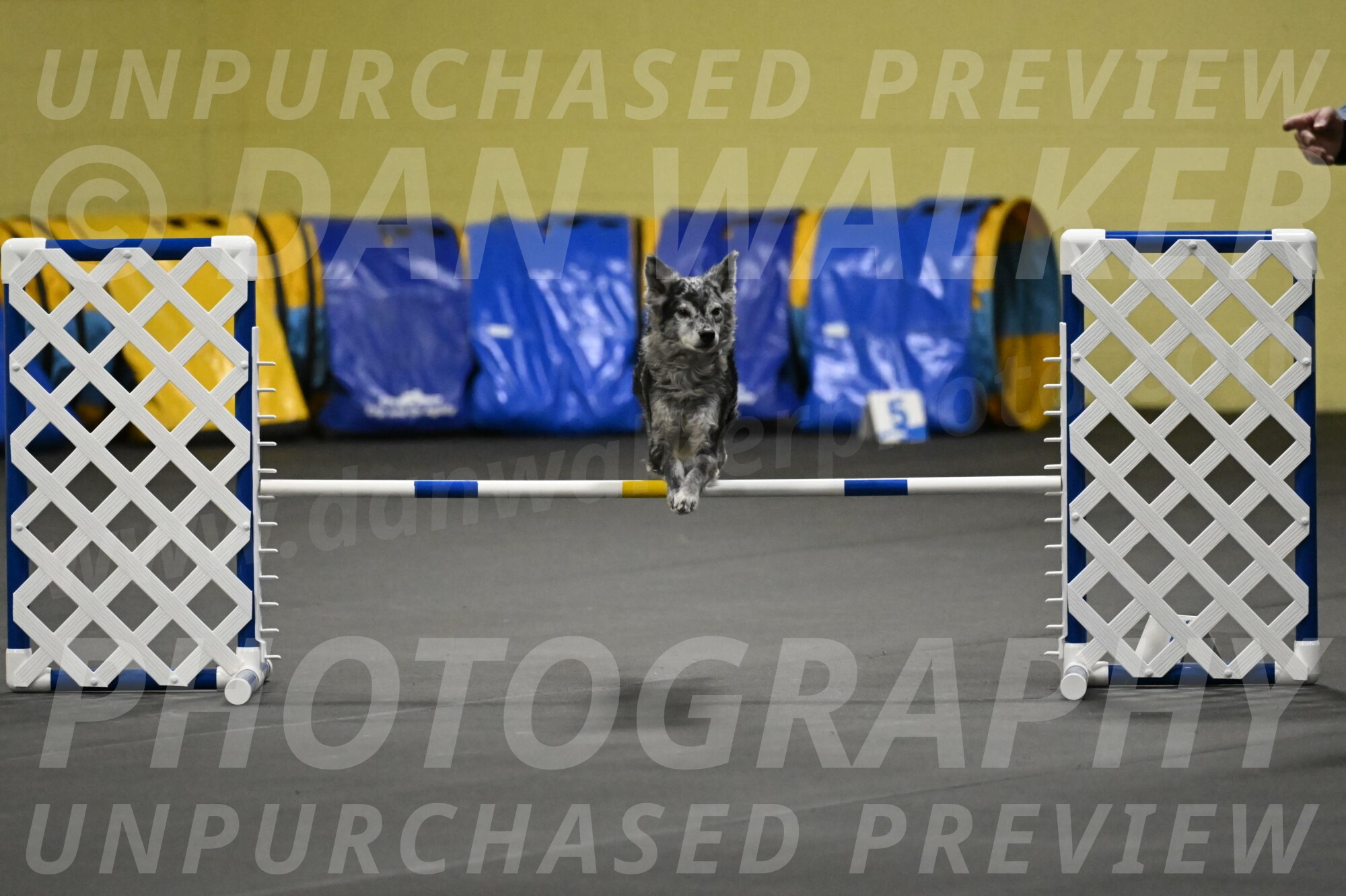 Bruce-Belebczuk-02304