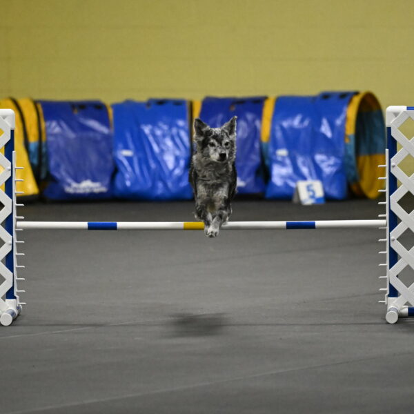 Bruce-Belebczuk-02304